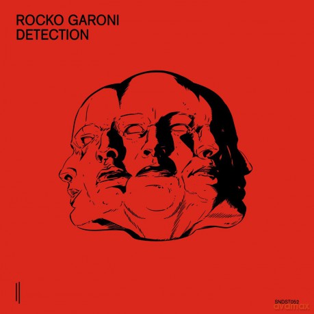 Rocko Garoni: Detection [Winyl]
