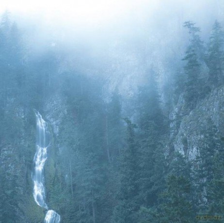 Wolves In The Throne Room: Diadem Of 12 Stars [CD]