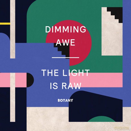 Botany: Dimming Awe The Light Is Raw [Winyl]