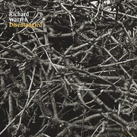 Richard Warren: Disentangled [Winyl]