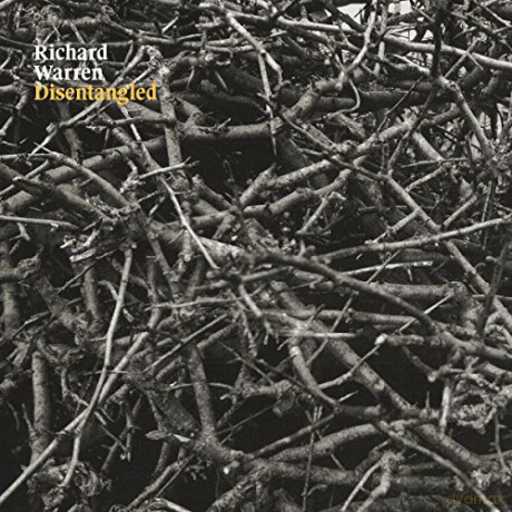 Richard Warren: Disentangled (Limited Coloured) [Winyl]
