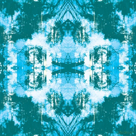 Tusks: Dissolve [CD]