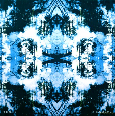 Tusks: Dissolve [CD]
