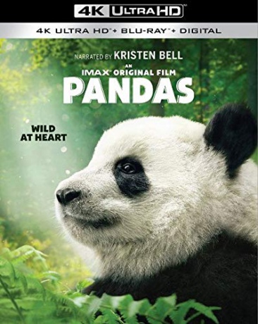 Pandas [Blu-Ray 4K]+[Blu-Ray]