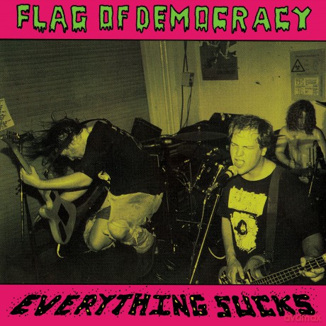 Flag Of Democracy (Fod): Everything Sucks [Winyl]