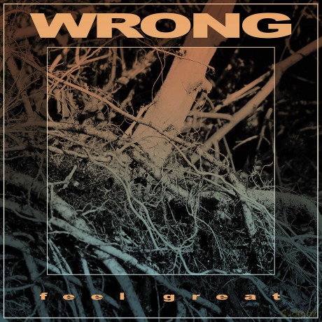 Wrong: Feel Great [Winyl]