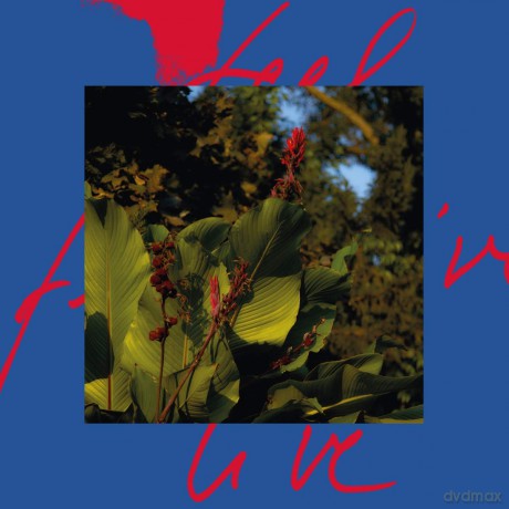 Massimiliano Pagliara: Feel Live [2xWinyl]