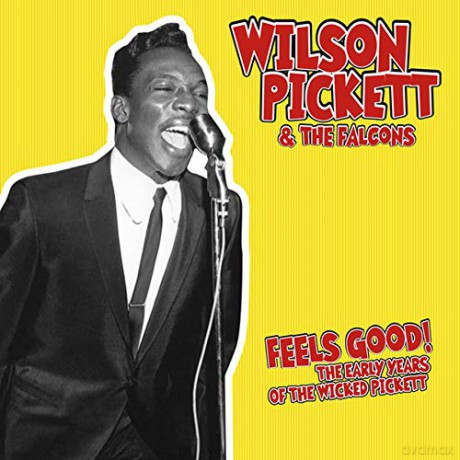 Wilson Pickett: Feels Good: The Early Years Of The Wicked Pickett [Winyl]