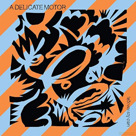 A Delicate Motor: Fellover My Own [Winyl]