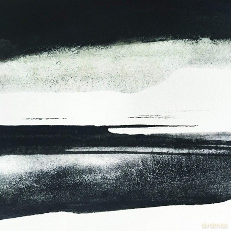 Silent Vigils: Fieldem [CD]