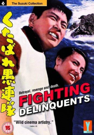 Fighting Delinquents [DVD]