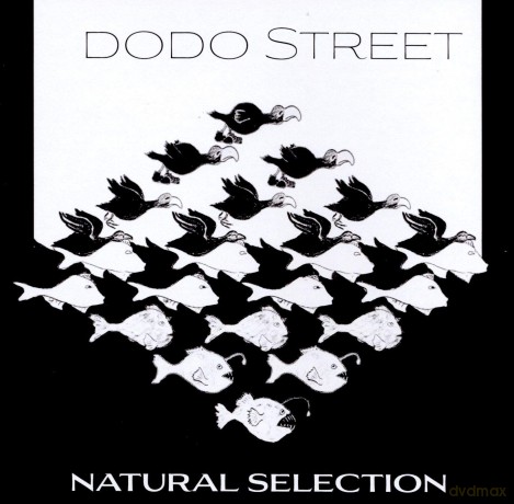 Dodo Street: Dodo Street: Natural Selection [CD]
