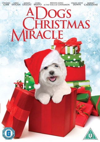 Dogs Christmas Miracle [DVD]