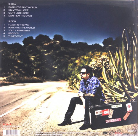 Steve Lukather: Alls Well That Ends Well [Winyl]