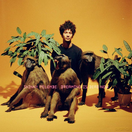 Skinny Pelembe: Dreaming Is Dead Now [CD]