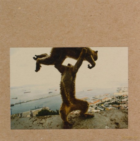 Shellac: Dude Incredible [CD]