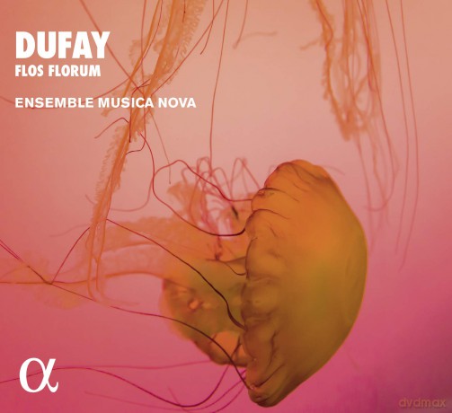 Ensemble Musica Nova: Dufay: Flos Forum [CD]