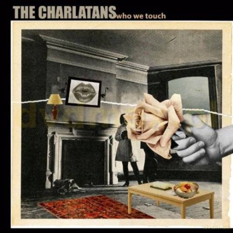 The Charlatans: Who We Touch [CD]