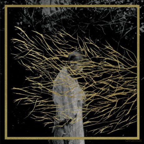 Forest Swords: Engravings [CD]