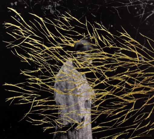 Forest Swords: Engravings [CD]