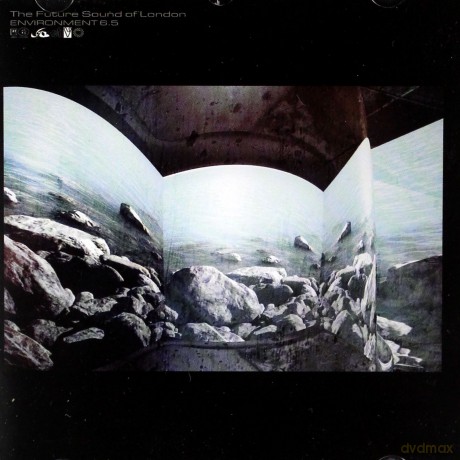 Future Sound Of London: Environment 6.5 [CD]