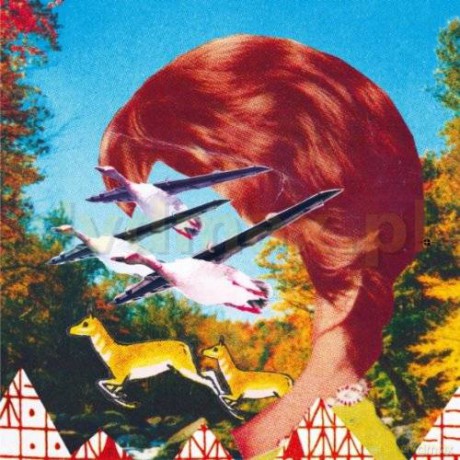 Rubik: Dada Bandits (digipack) [CD]