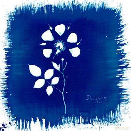 Painted Zeros: Floriography [CD]