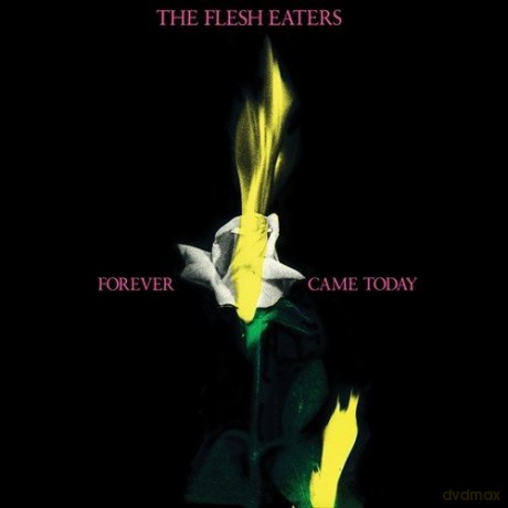 Flesh Eaters: Forever Came Today [CD]