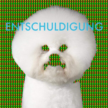 Entschuldigung: Entschuldigung [Winyl]