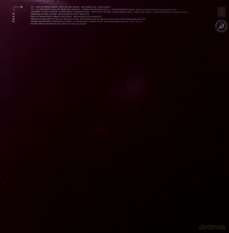 Felt: Forever Breathes The Lonely Word (Deluxe Remastered Edition) [Winyl]