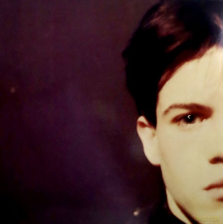 Felt: Forever Breathes The Lonely Word (Deluxe Remastered Edition) [Winyl]