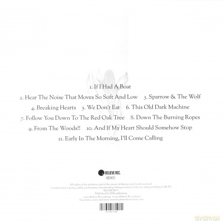 James Vincent Mcmorrow: Early In The Morning [Winyl]