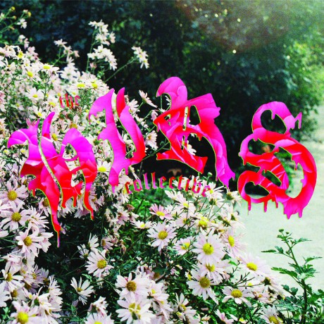 Hirs Collective: Friends. Lovers. Favorites. [CD]