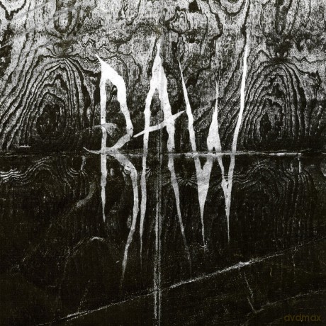 Raw: From The First Glass To The Grave [CD]