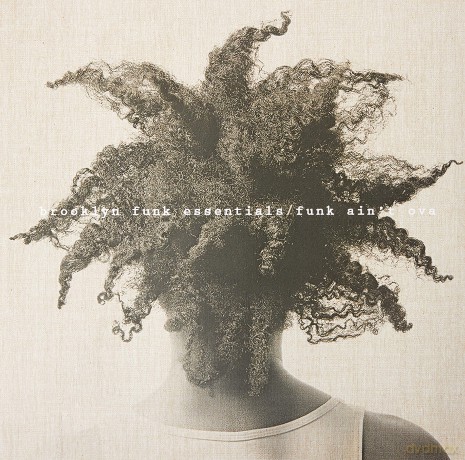Brooklyn Funk Essentials: Funk AinT Ova [Winyl]