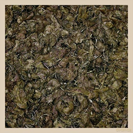 Piss Vortex: Future Cancer [Winyl]