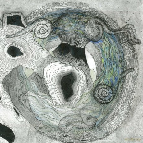 Aine Odwyer: Gallarais [Winyl]