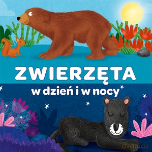 Kapitan Nauka. Harmonijka Zwierzęta w dzień i w nocy [KSIĄŻKA]