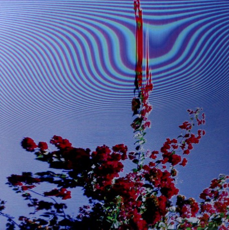 Friendly Fires: Inflorescent [Winyl]