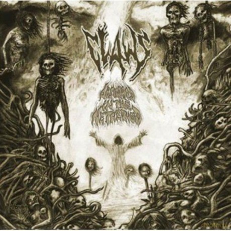Claws: Absorbed In The Nethervoid [CD]