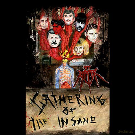 Jt Ripper: Gathering Of The Insane [Winyl]