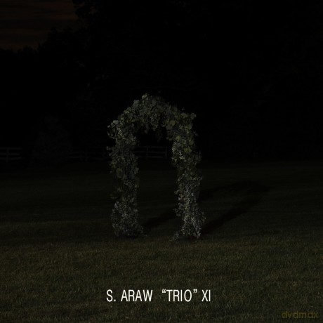 S. Araw Trio 11: Gazebo Effect [2xWinyl]