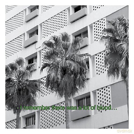 Bunny Tylers: Glitches And Drones 20132016 [CD]