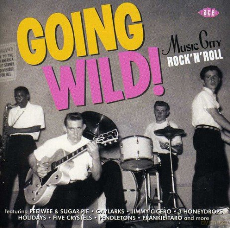 Going Wild - Music City Rock N Roll [CD]
