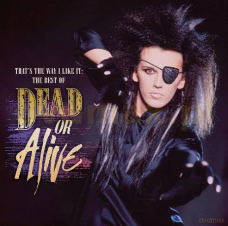 Dead Or Alive: That's The Way I Like It: The Best of Dead Or Alive [CD]
