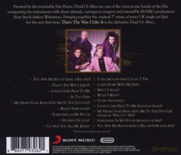 Dead Or Alive: That's The Way I Like It: The Best of Dead Or Alive [CD]
