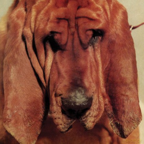 Ty Segall: Goodbye Bread [CD]