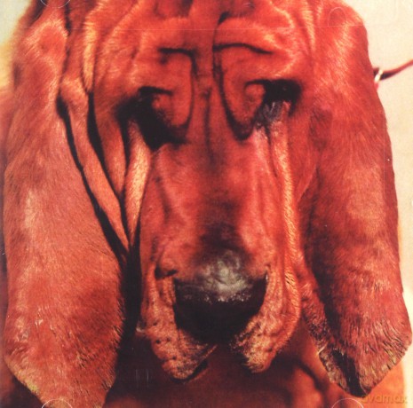 Ty Segall: Goodbye Bread [CD]