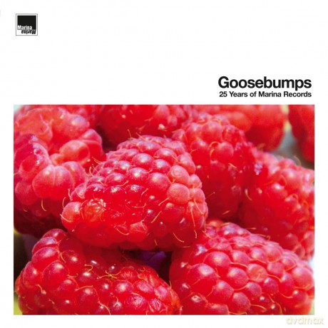 Goosebumps 25 Years Of [3xWinyl]