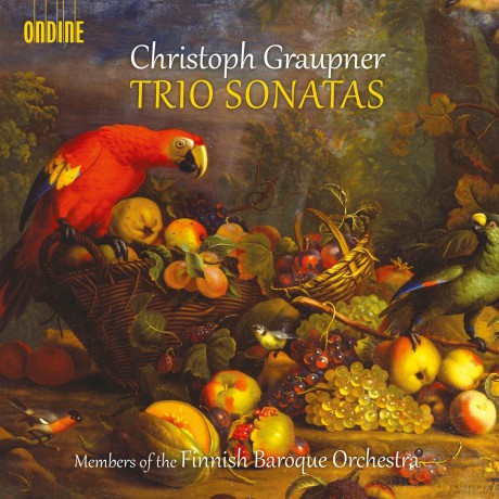Finnish Baroque Soloists: Graupnertrio Sonatas [CD]